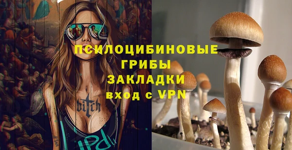 PSILOCYBIN Краснослободск
