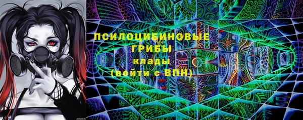 PSILOCYBIN Краснослободск