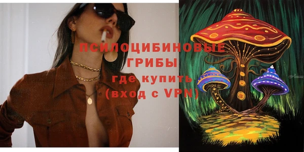 PSILOCYBIN Краснослободск